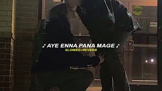 Aye Enna Pana Mage slowedreverb [upl. by Akimaj]