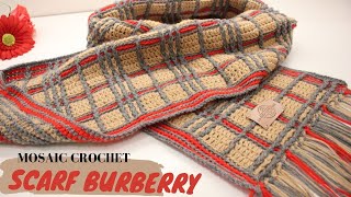 TUTORIAL Burberry crochet scarf  mosaic crochet [upl. by Yanaj]