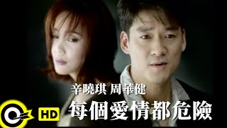 辛曉琪 Winnie Hsinamp周華健 Wakin Chau【每個愛情都危險 Love is risky】Official Music Video [upl. by Eenahs]