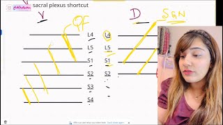 Sacral Plexus SHORTCUT  Learning made fun with Dr Hasna [upl. by Ettenwahs]