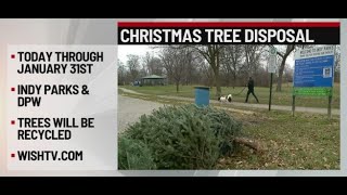 Christmas tree disposal in Indianapolis [upl. by Buyers141]