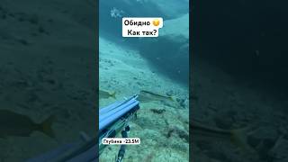 Подводная охота на Канарских островах 235M Как так🤬 spearfishing pescasubmarina tenerife [upl. by Aissirac]