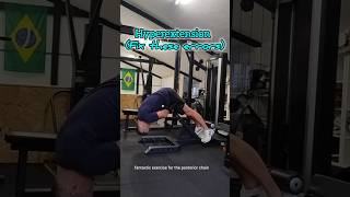 Hyperextension Fix these Mistakes [upl. by Guillaume143]