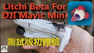 Dji Mavic Mini 初體驗Litchi Beta Version [upl. by Margot]