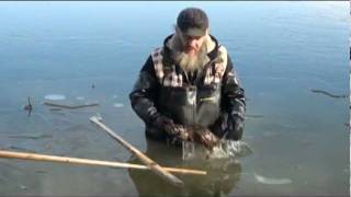 Muskrat Trapping with Tom Florin [upl. by Eiramaliehs]