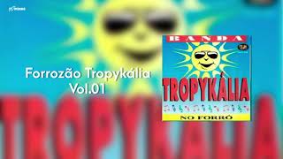 Forrozão Tropykália  Vol 1  No Forró  CD Completo [upl. by Anesor]