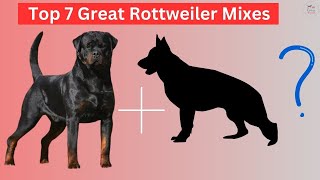 Top 7 Great Rottweiler Mixes dog breeds rottwilermixes [upl. by Willamina]