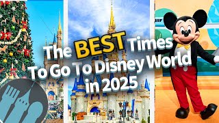 The BEST Times To Go To Disney World in 2025 [upl. by Aisat]