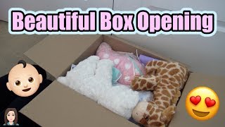 Beautiful Reborn Baby Box Opening Its Twins  Kelli Maple [upl. by Omrelliug534]