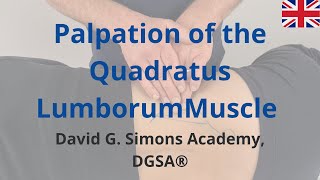 Palpation of the Quadratus Lumborum Muscle [upl. by Salhcin]