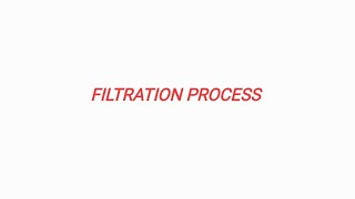 FILTRATION PROCESS [upl. by Hedi]