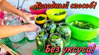 ХОЛОДНЫЙ СПОСОБ Без уксуса и кипячения Как КВАШЕННЫЕ БОЧКОВЫЕ самые хрустящие огурцы на зиму [upl. by Anitac]