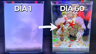 Construyendo una Porción del Océano Construcción de un Nano Arrecife de Coral [upl. by Lalat]