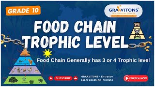 Food Chain  Trophic levels  Producer primary consumer secondary consumer tertiary consumer [upl. by Arlee]