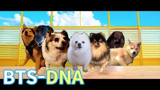 BTS 방탄소년단  DNA 강아지 리믹스 Dog cover [upl. by Eenor]