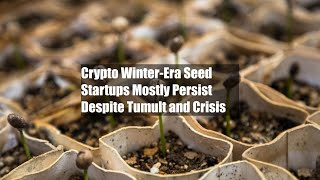 Crypto WinterEra Seed Startups Mostly Persist Despite Tumult and Crisis [upl. by Sunday]