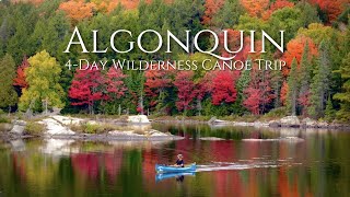 Beautiful 4Day Solo Wilderness Canoe Trip in Algonquin Park [upl. by Adrahs]