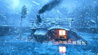 Wind Storm Cold Bone Chilling Winter Wind Storm Cold Weather BLIZZARD AMBIENCE [upl. by Atsirak150]