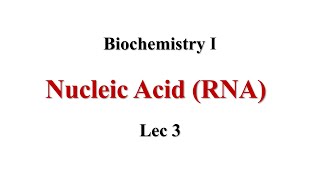 RNA Lec3 Biochemistry I [upl. by Treble544]