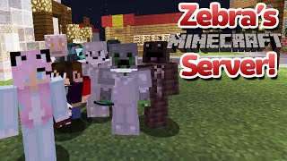 Zebras Minecraft Community Night  262016 [upl. by Aleahpar383]