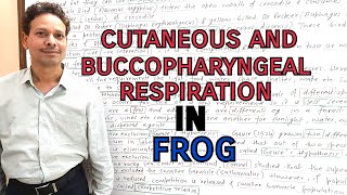 Cutaneous and Buccopharyngeal Respiration in FrogRana Tigrina  For IASNEETGATENET and BSc [upl. by Lyreb]