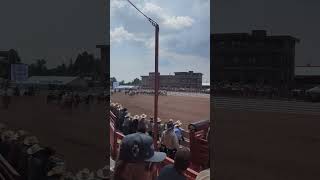 Cheyenne Frontier Days rodeo horses  2024 [upl. by Morez344]