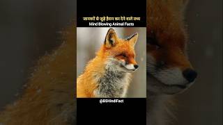 Mind Blowing Animal Facts Part8 shorts facts [upl. by Thorma]