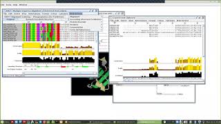 Bioinformatic بالعربي  Jalview software 2 [upl. by Cindelyn]