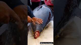 Big tuna fish cutting fish cuttingskills [upl. by Kendricks]