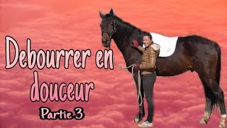 Débourrer son cheval en douceur  Partie 3 [upl. by Voltmer474]