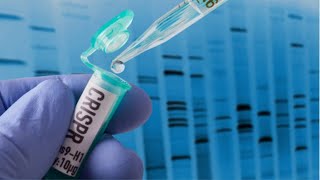 C R I S P R Gene Editing Demystified  AGING REVERSED  CANCER CURE [upl. by Rosene691]