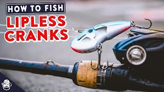 Lipless Crankbait Fishing 101  Top Spring Bass Fishing Bait [upl. by Htinnek]