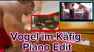 Vogel im Käfig  Attack on Titan  Piano  Videos [upl. by Eima]