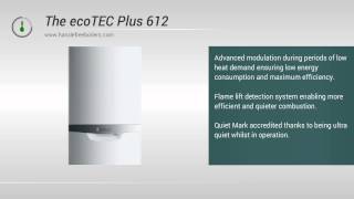 Vaillant 612 Plus ecoTEC 12kw System Boiler Review and Information [upl. by Anorahs554]