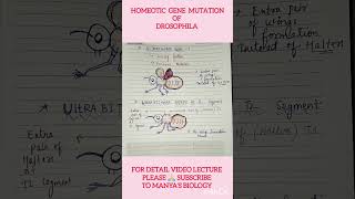 Simplified Notes 🔥Drosophila Homeotic Gene Mutation  Easy Learning 🔥csirnetlifescience shorts [upl. by Sunny]