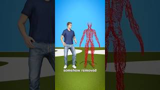 How Long Are Your Blood Vessels  facts factshorts youtubeshorts shorts health factszackdfilms [upl. by Dreda]