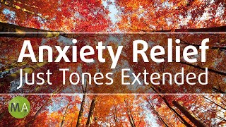 Anxiety and Panic Attack Relief  Isochronic Tones Extended Version [upl. by Imtiaz]