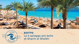 Le 5 spiagge più belle di Sharm el Sheikh [upl. by Reede734]