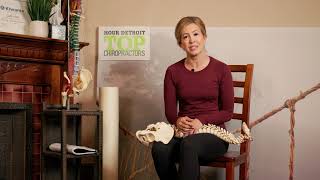 Dr Erica Peabody  Cafe of LIFE Chiropractic  Intro At Home Spinal Care Stretches 8106296023 [upl. by Nileak]