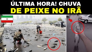 Urgente ASSISTA O IRÃ Recebe um SINAL de DEUS  Chuva de Peixes [upl. by Delwin]