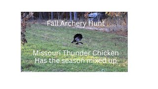 Fall Archery Turkey huntThunder chicken clearly confused [upl. by Joanie]