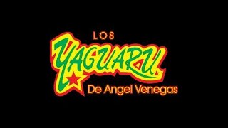 DESEO LOS YAGUARU EXITOS [upl. by Mccallion]