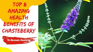 Top 10 Amazing Health Benefits Of Chasteberry [upl. by Aneelad]