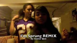 Im Sprung  Im Sprung Status Quo REMIX [upl. by Citarella235]