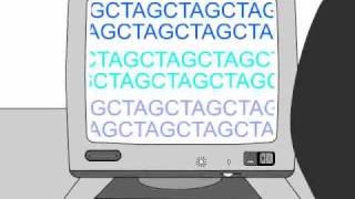 How to Sequence a Genome 11 Working Draft Sequence [upl. by Ecydnarb]