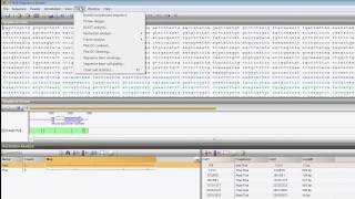 Restriction enzyme analysis BioNumerics 7 [upl. by Edith]