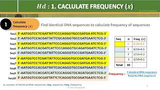 Haplotype diversity Hd A StepByStep Example [upl. by Ogawa333]