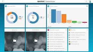 Customize Views  OpenText Content Suite Quick Demo [upl. by Orodoet106]