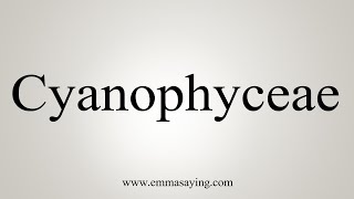 How To Say Cyanophyceae [upl. by Krall]