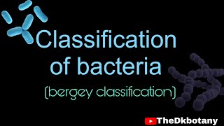 Classification of bacteria bsc 2nd year botany [upl. by Einad]